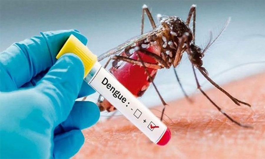 बङ्गलादेशमा डेंगुबाट एकै दिन सात जनाको मृत्यु