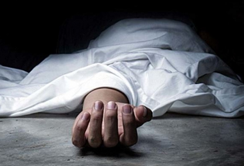 दुई हात्तीले आक्रमण गर्दा आक्रमणबाट टीकापुरमा एक महिलाको मृत्यु