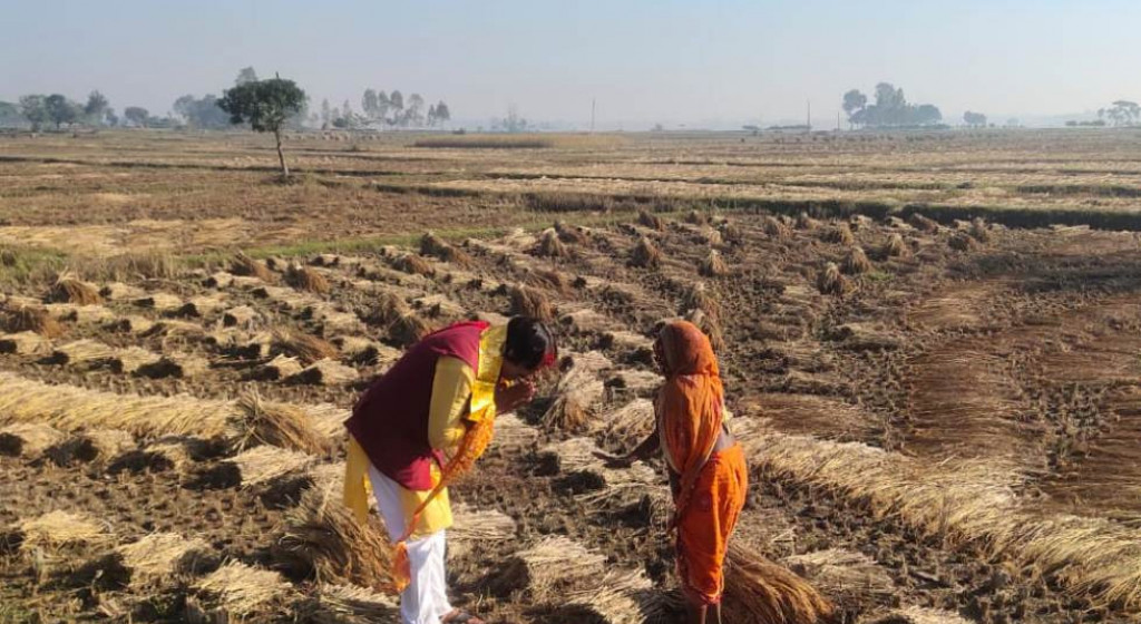 चुनाव जितेपछि सिके राउत धन्यवाद दिन किसानका खेत–खेतमा