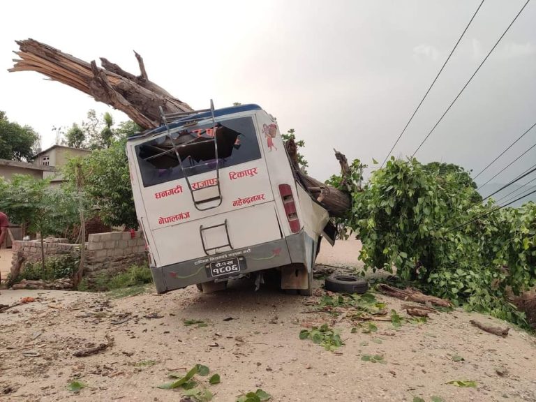हावाहुरीले रुख ढलेर कैलालीमा बस र भरतपुरमा अटोलाई किच्दा  ७ जना घाइते