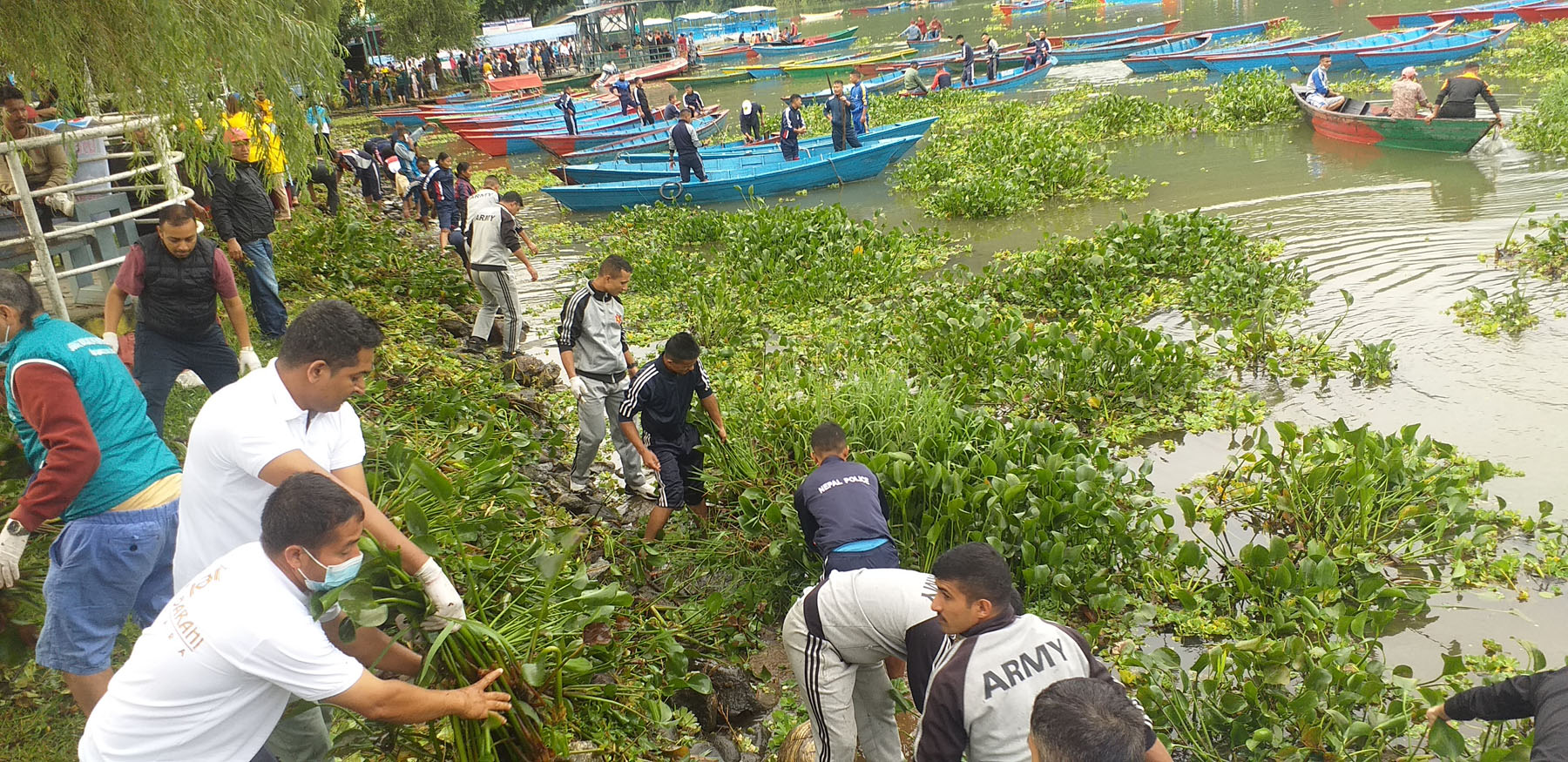 फेवाको सिमसार क्षेत्र पुर्ने काम रोक्ने निर्णय