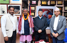 एमालेमा प्रवेश
