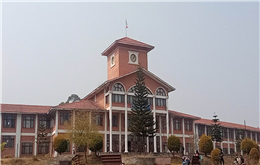 आरआर, पाटन र कर्मश क्याम्पसमा स्ववियु निर्वाचन गराउन अन्तरिम आदेश
