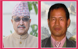 कांग्रेस उपसभापतिमा खड्का र गुरूङ बिजय, गुरूङले दुई मत जिते