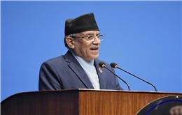 प्रितम सिंह कुनै शक्तिकेन्द्र होइन, मेरो भावुकतालाई कमजोरी ठानेर माफी दिइयोस् : प्रचण्ड