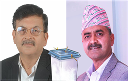 सोमप्रसाद पाण्डेय छैटौं पटक, ठाकुर गैरे पहिलो पटक चुनावी मैदानमा