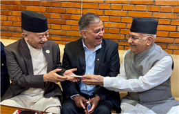 एमाले कार्यवाहक अध्यक्षको जिम्मेवारी पोखरेल र नेम्वाङलाई