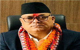 सांसद बाँनिया निलम्बित